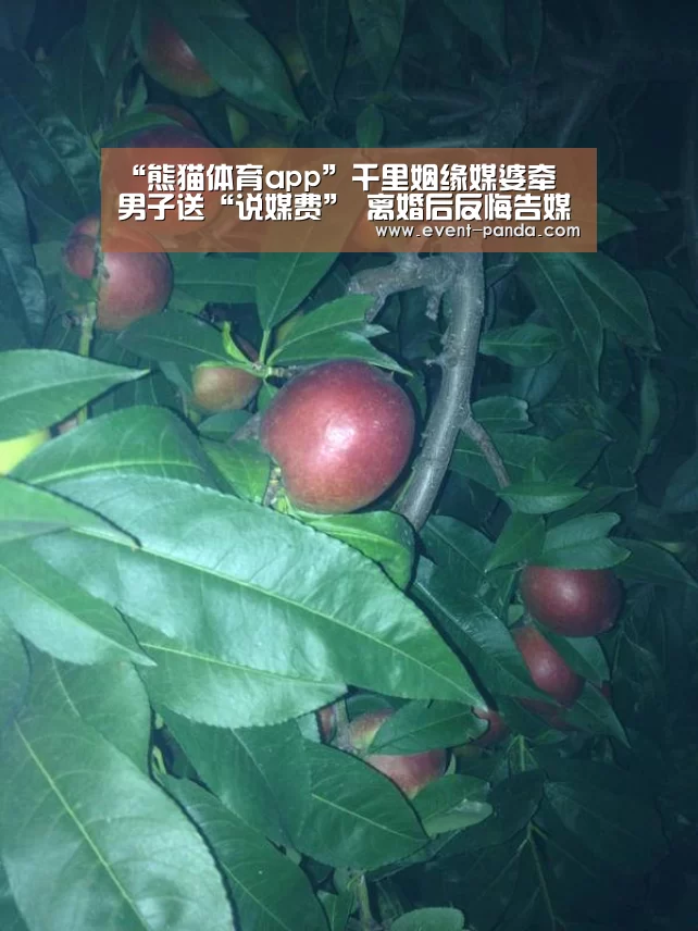 “熊猫体育app”千里姻缘媒婆牵 男子送“说媒费” 离婚后反悔告媒婆不当得利!(图1) 熊猫体育app